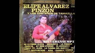 quotEL NAUFRAGOquot CANTA FELÍPE ÁLVAREZ PINZÓN [upl. by Alodi]