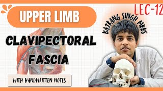 Clavipectoral fascia anatomy in Hindi ll upper limb anatomy ll mbbs 1st year [upl. by Alicec488]