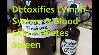 Making Burdock Root Double Tincture [upl. by Auqinet809]