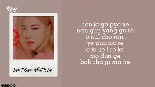 BlackPink  quotDont Know What To Doquot Easy Lyrics [upl. by Ahsilam]