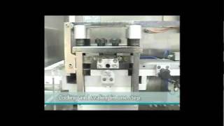 Neopackaging NBM140 Blister Machine [upl. by Safire116]