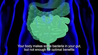 How Dr Mercolas Kinetic Culture Helps Improve Your Gut Flora [upl. by Akered]