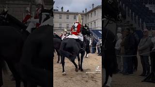 Spooked Horse Makes All Horses Freak Out thekingsguard [upl. by Aenert]