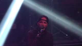 Limp Bizkit LIVE Itll Be OK Paris France Bataclan 03072014 FULLHD [upl. by Oicnerolf]