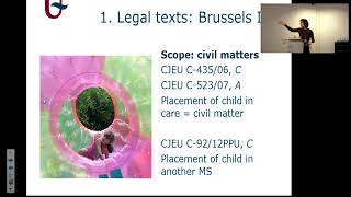 Parental Responsibility and International Child Abduction [upl. by Eegnat427]