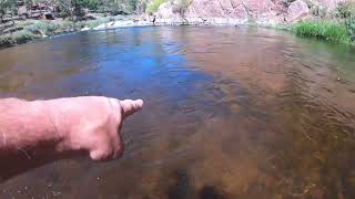 I take my Go Pro into a fly fishing river in Colorado check out what we see fishing [upl. by Bergman]