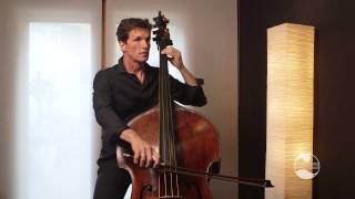 AMEB Double Bass Technical Work Grade 3  Bowing variations spiccato and martelé [upl. by Talley303]