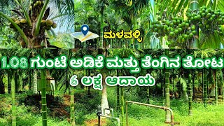 SALEArecanut amp Coconut farm85km Bangaloremalavalli9513194244 [upl. by Ava973]