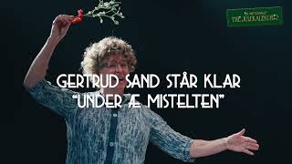 De Nattergales THE JULEKALENDER som teater [upl. by Zrike]