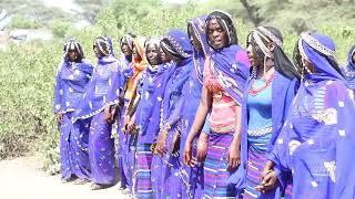 Qafar Seyoo Eide afar Beautiful cultural dance 2024 ethiopian culturaldance [upl. by Intruok]