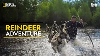 Reindeer Adventure  Primal Survivor  हिन्दी  Full Episode  S1  E3  National Geographic [upl. by Airtemad71]