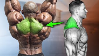 5 Best Exercises for Bigger Traps Workout [upl. by Ttenaj]