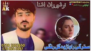 Nosherwan ashna new song 2024  stargi rawarawa gul rangi  Nosherwan nosherwanashna  نوشیروان [upl. by Lail]