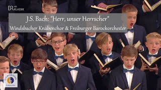 JS Bach quotHerr unser Herrscherquot  Windsbacher Knabenchor amp Freiburger Barockorchester L Böhme [upl. by Yren]