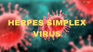 Herpes simplex virus  Keratitis  OPHTHALMOLOGY  USMLE  NEETPG  INICET  MBBS  Medical science [upl. by Enilrae]