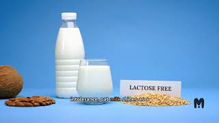 Oat Milk vs Whole Milk Which Reigns Supreme oatmilk lactosefree [upl. by Dlaner]