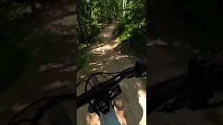 YT Decoy CORE 3 First Ride Me Gusta ytdecoy mtb mountainbike [upl. by Asaret161]