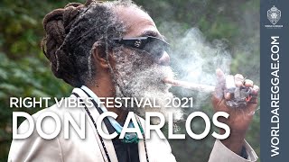 Don Carlos Live at Right Vibes Festival CA 2021 [upl. by Oetomit]