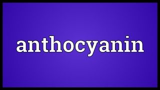 Anthocyanin Meaning [upl. by Eiramnaej]