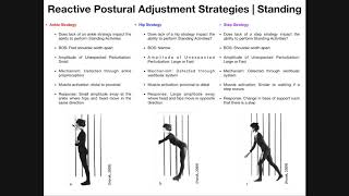 Reactive Postural Adjustments  Strategies For Maintaining Balance [upl. by Iralam]