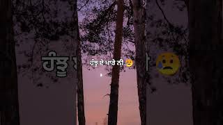 taare sidhu moose wala song  sad song [upl. by Grobe]