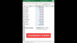 Cách tính tổng số âm và số dương trong Excel hocexcel exceltips excel excelcoban [upl. by Ingmar]