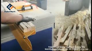 Wooden Pallet Stringer Notcher Machine  Single Notcher [upl. by Nilde]