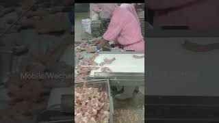 automatic chicken neck skinner machine [upl. by Ennairam686]