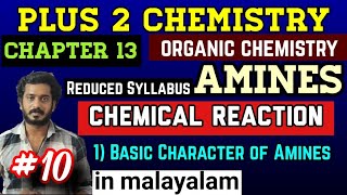 amines Chemical reaction in Malayalam basic nature of Amine plus two chemistry chapter 14 [upl. by Eniamzaj53]