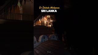 Serene Evenings at Dalada Maligawa 🕍✨  shorts trending srilanka [upl. by Ahsenyt254]