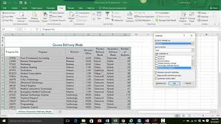 Advanced Filter and Subtotals [upl. by Cherry]