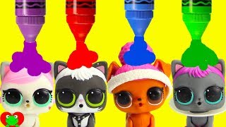 LOL Surprise Pets vs LOL Surprise Dolls Learn Colors [upl. by Middle]