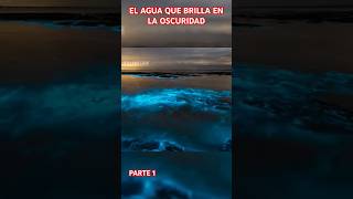 Conoce la bioluminiscencia marina ✨🌊 mar oceano curiosidades naturaleza misterio [upl. by Sum]