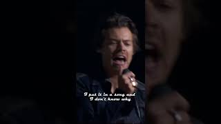 Harry Styles  What Makes You Beautiful Lyrics [upl. by Ademordna]