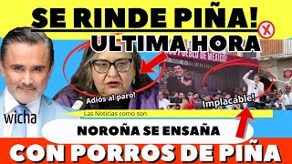 SE RINDE PIÑA DE ÚLTIMA HORA NOROÑA LE TUPE A PORROS [upl. by Fabrianne489]