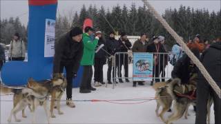 22 Internationales Schlittenhunderennen in Frauenwald 2Wettkampftag 2017 [upl. by Yznel980]