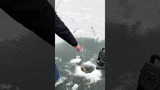 CRAPPIE SLAY Just lace em’ up and skate to them icefishing skating hockey [upl. by Stearne]