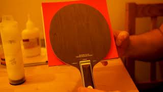 Best professional table tennis bat under £150 [upl. by Eimam526]