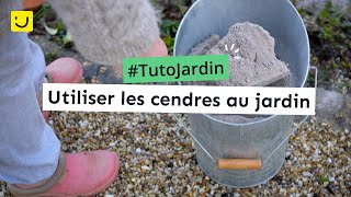 Tuto Jardin Utiliser les cendres au jardin [upl. by Gelya]