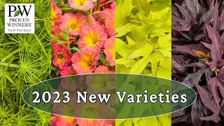 Proven Winners 2023 New Varieties Part 1 [upl. by Aztinaj930]