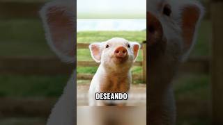 Un cerdo que no quiere ser comidoshorts viralvideo [upl. by Frederick]