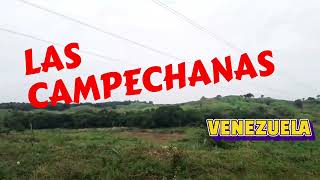 Recorriendo 🚘 Las Campechanas en Valle de La Pascua Venezuela [upl. by Pearla]