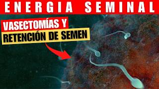 VASECTOMÍAS y RETENCIÓN de Semen Explicadas [upl. by Anaeirb]