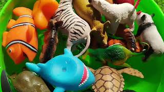 Big Animal Toys Collection For Kids l Zoo Fun Animals l Animal Names in English l Sea Creature [upl. by Glick426]