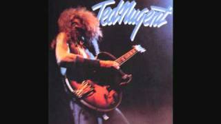 Ted Nugent  Stormtroopin Live [upl. by Eliza]