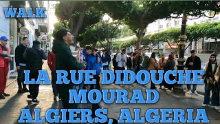 Algiers Walk La Rue Didouche Mourad [upl. by Enitsyrhc]