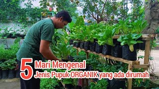 Rekomendasi‼️ 5 pupuk ORGANIK gratis ramah lingkungan bikin tanaman SUBUR [upl. by Laehcar]