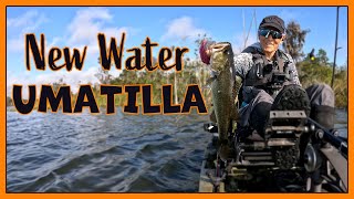 Exploring New Water  Lake Umatilla FL  102924 [upl. by Nottirb]