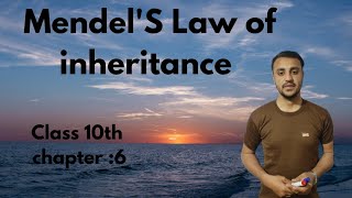 MendelS Law of Inheritance in urduHindi  Class 10th chapter 6 [upl. by Benton]