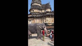 Sringeri sharada temple [upl. by Akemad]